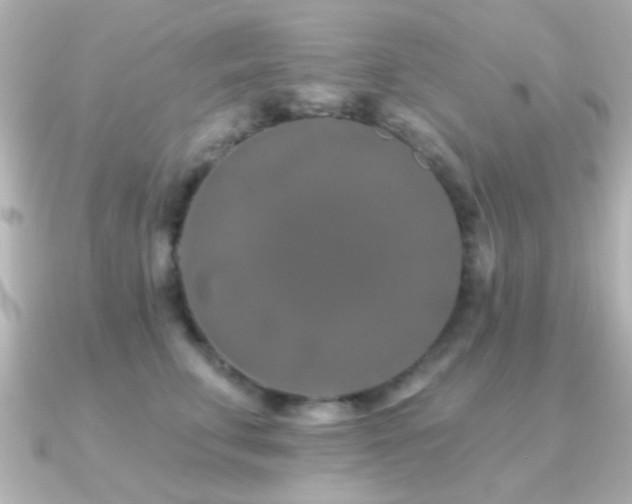 X0000091170711200708091204