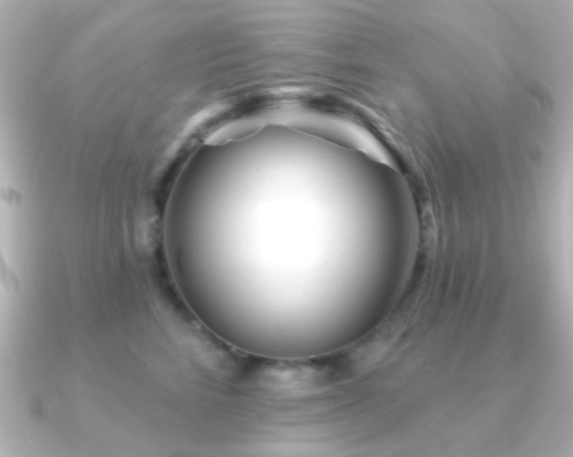 X0000091170712200708091204