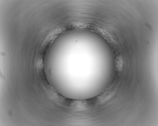 X0000091170713200708091204