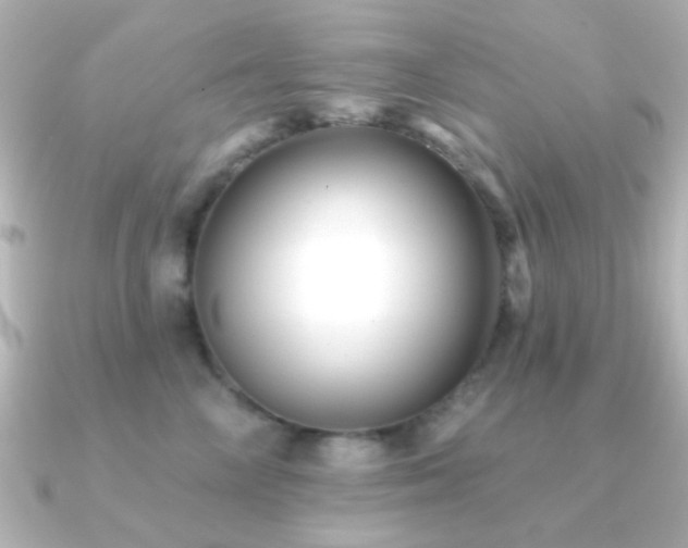 X0000091170714200708091204
