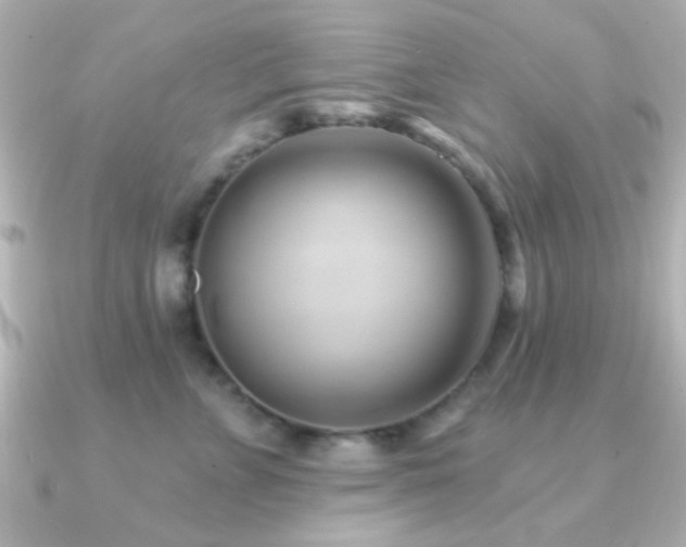 X0000091170715200708091204