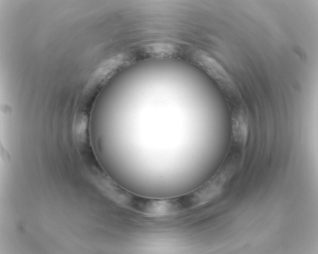 X0000091170717200708091204