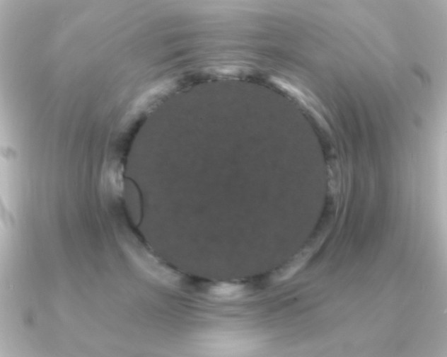 X0000091170718200708091204