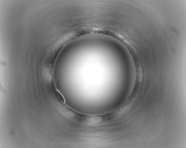 X0000091170719200708091204