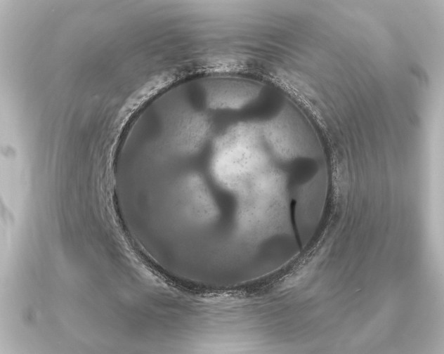 X0000091170721200708091204