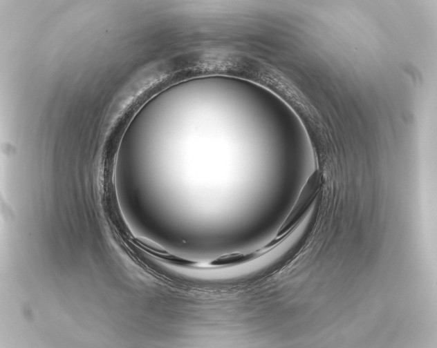 X0000091170722200708091204