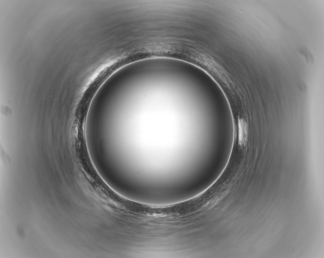 X0000091170723200708091204