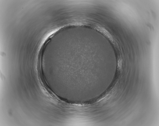 X0000091170724200708091204