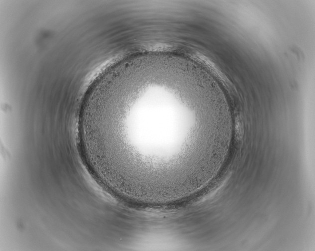 X0000091170725200708091204