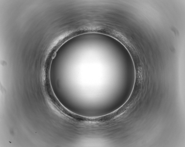 X0000091170726200708091204