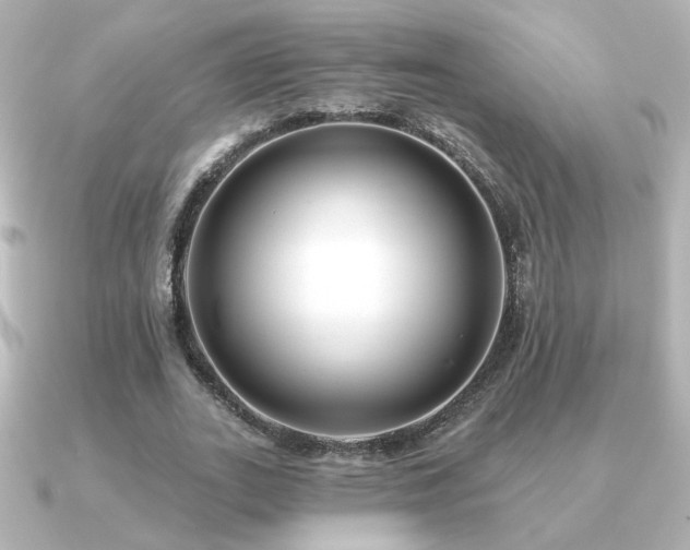 X0000091170727200708091204