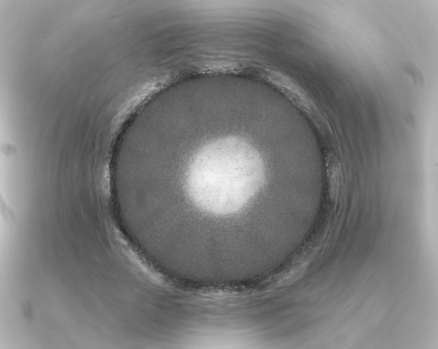 X0000091170729200708091204