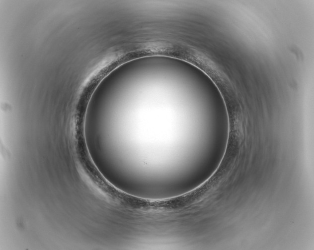 X0000091170730200708091204