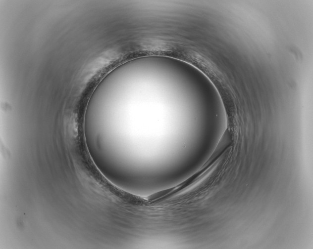 X0000091170731200708091204