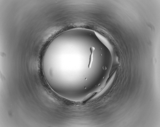X0000091170732200708091204