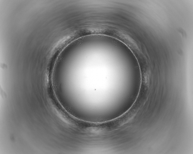 X0000091170733200708091204