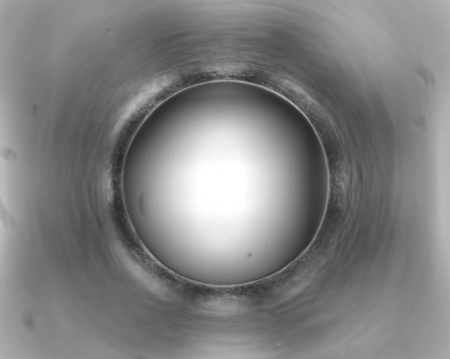 X0000091170734200708091204
