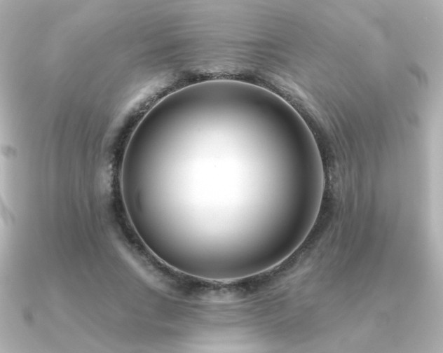 X0000091170735200708091204