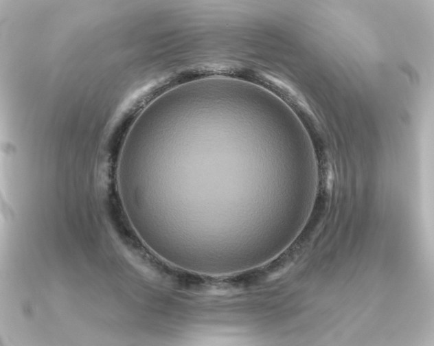 X0000091170736200708091204