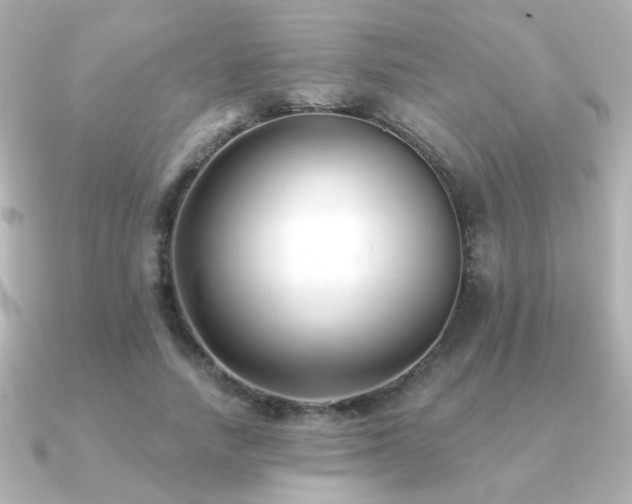 X0000091170738200708091204
