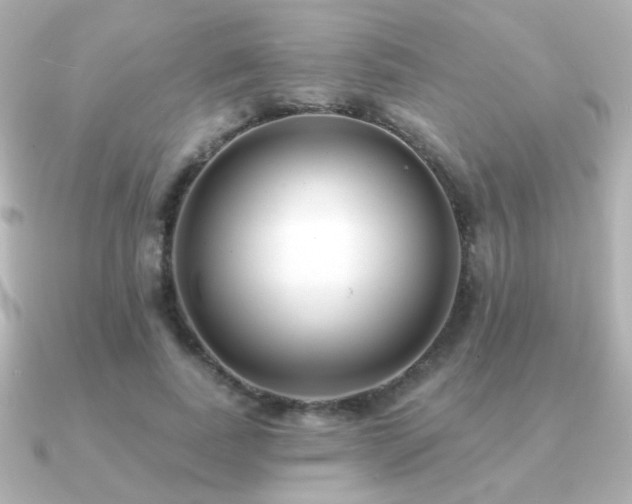 X0000091170739200708091204