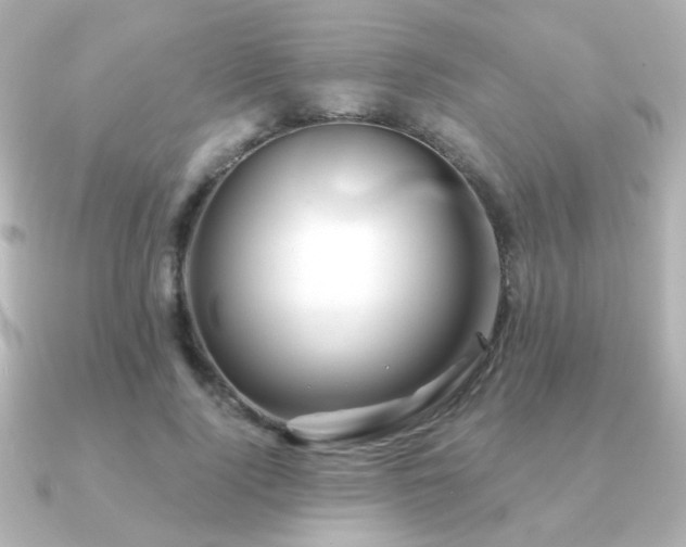 X0000091170740200708091204