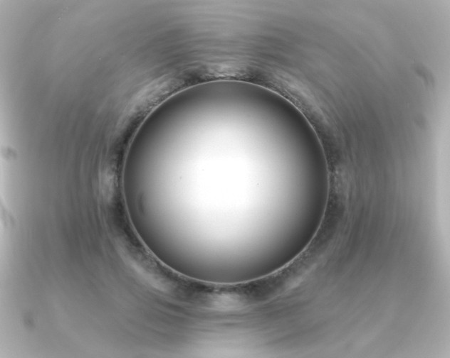 X0000091170741200708091204