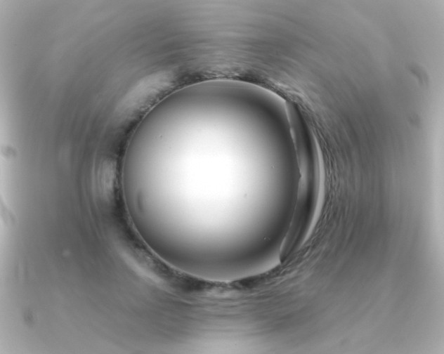 X0000091170742200708091204