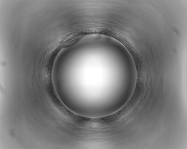 X0000091170743200708091204