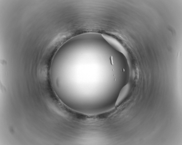 X0000091170744200708091204