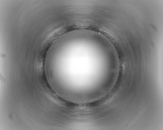 X0000091170745200708091204