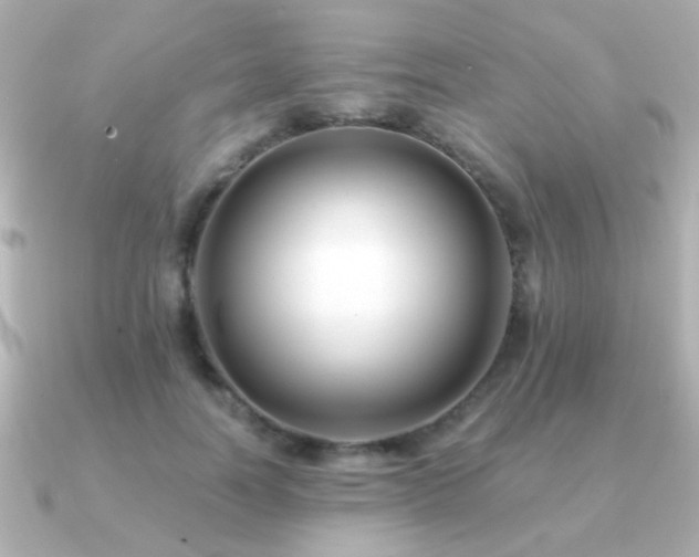 X0000091170746200708091204
