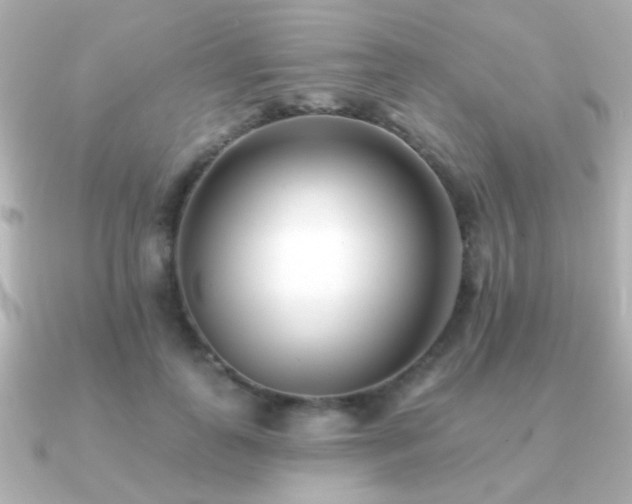 X0000091170747200708091204
