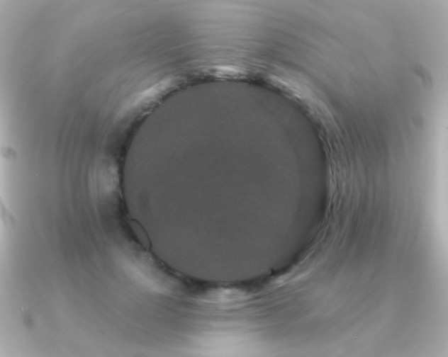 X0000091170748200708091204