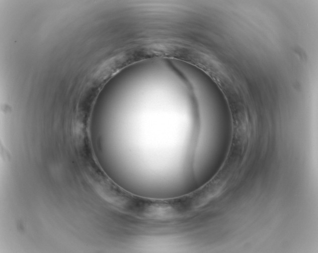 X0000091170749200708091204