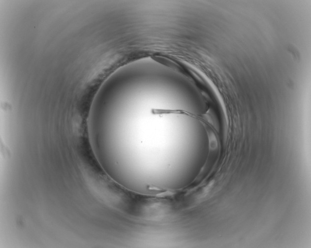 X0000091170750200708091204