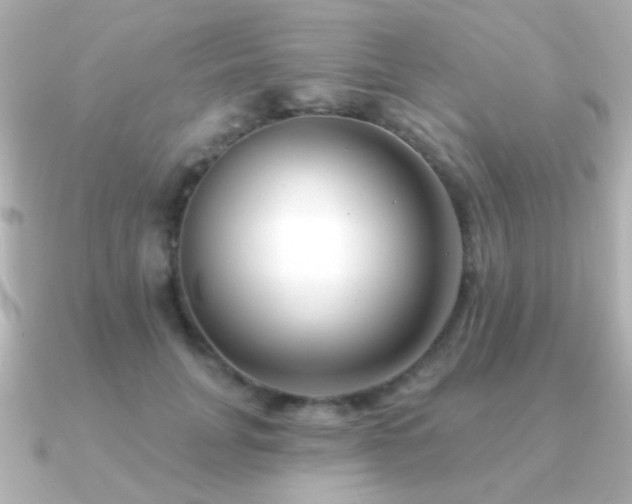 X0000091170751200708091204