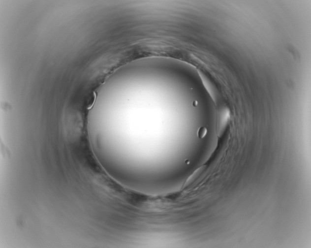 X0000091170752200708091204