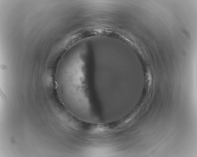 X0000091170754200708091204