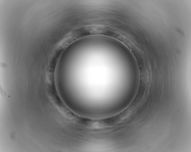 X0000091170755200708091204