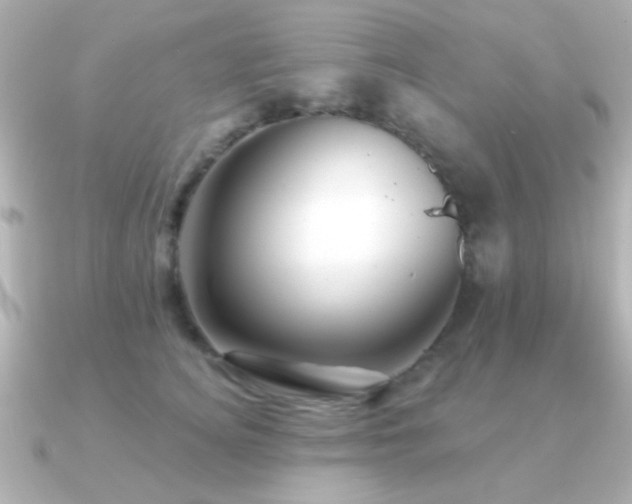 X0000091170756200708091204