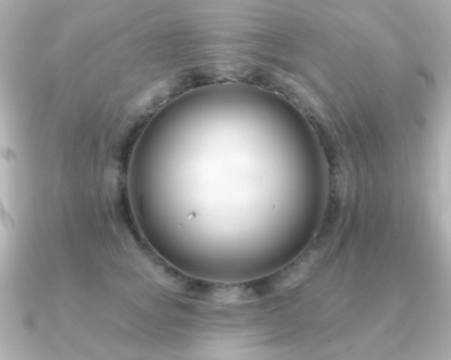 X0000091170757200708091204