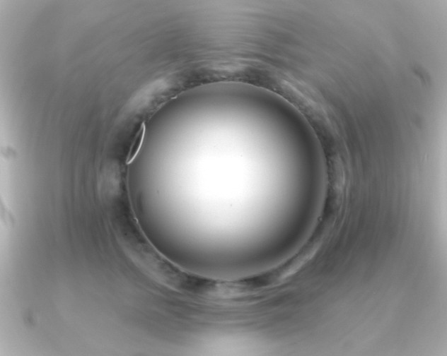 X0000091170758200708091204
