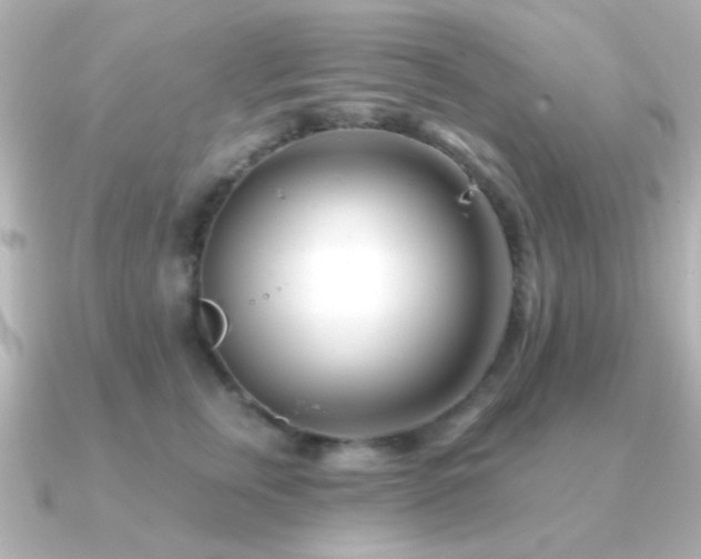 X0000091170759200708091204