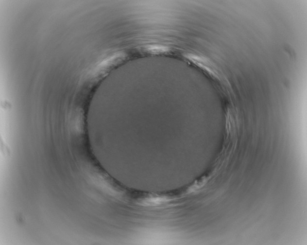 X0000091170760200708091204