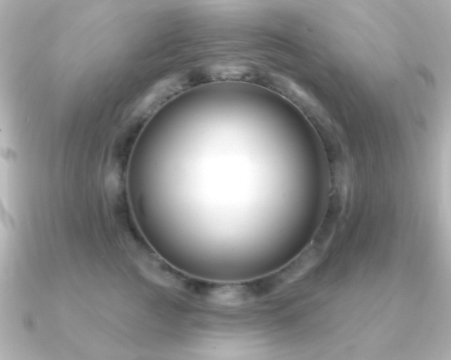X0000091170761200708091204