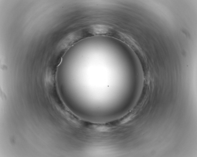 X0000091170763200708091204