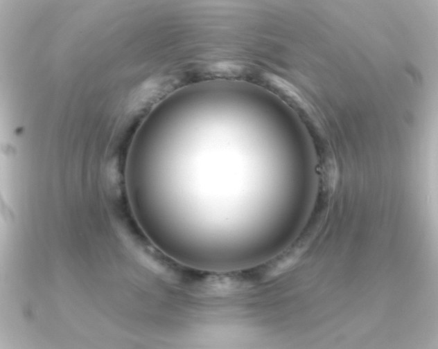 X0000091170764200708091204