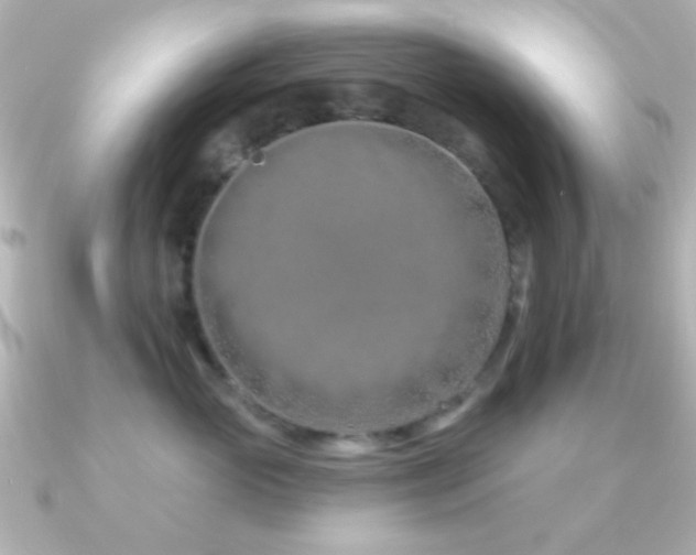 X0000091170765200708091204