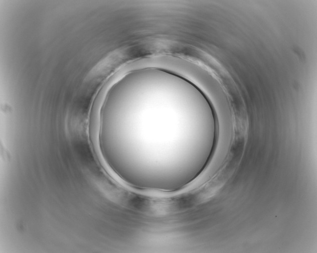 X0000091170766200708091204